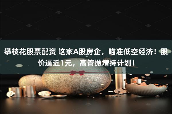 攀枝花股票配资 这家A股房企,瞄准低空经济!股价逼近1元,高管抛增持计划!